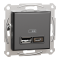 Подвійний зарядний пристрій USB 2.4 A, антрацит, Asfora, Schneider Electric [EPH2700371]