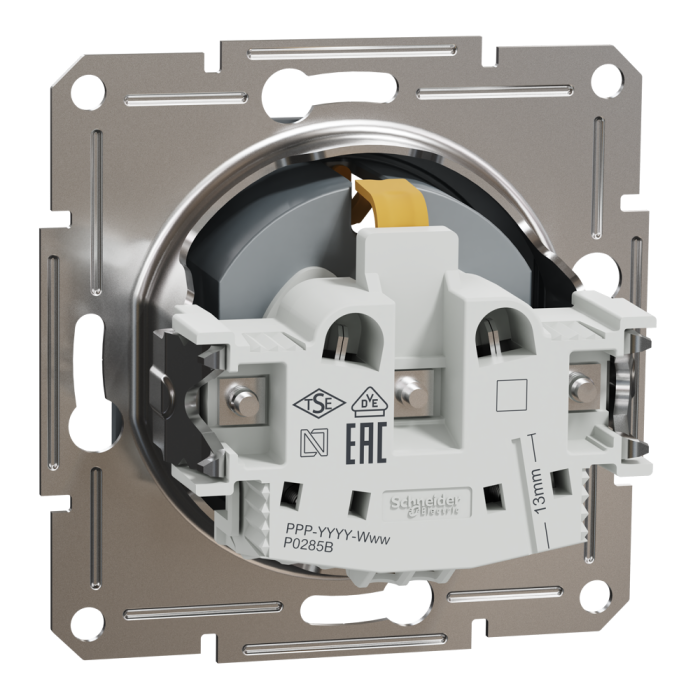 Розетка, сталь, 16 А, Asfora - Schneider Electric [EPH2900262]