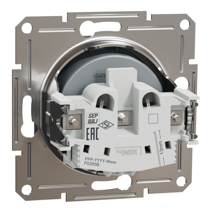Розетка без заземлення Asfora сталь, Schneider Electric [EPH3000162]