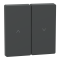 Клавіша, Merten, D-Life КЛАВІША для жалюзі АНТРАЦИТ, чорний (ral 7024), Schneider Electric, [MTN3855-6034]