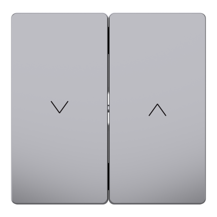 Клавіші для 2-кнопкового вимикача, нержавіюча сталь, Merten - Schneider Electric [MTN3855-6036]