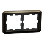 Рамка 2 постова, Merten - Schneider Electric [MTN4020-4752]