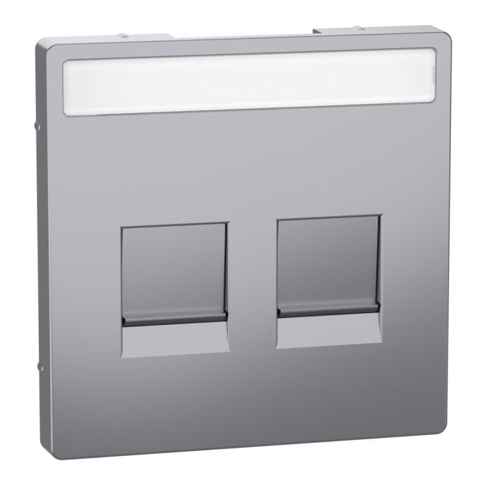 Накладка, Merten, D-Life ЦЕНР. НАКЛ. 2-мод.раз. НЕРЖ.СТ., нержавіюча сталь, Schneider Electric, [MTN4564-6036]