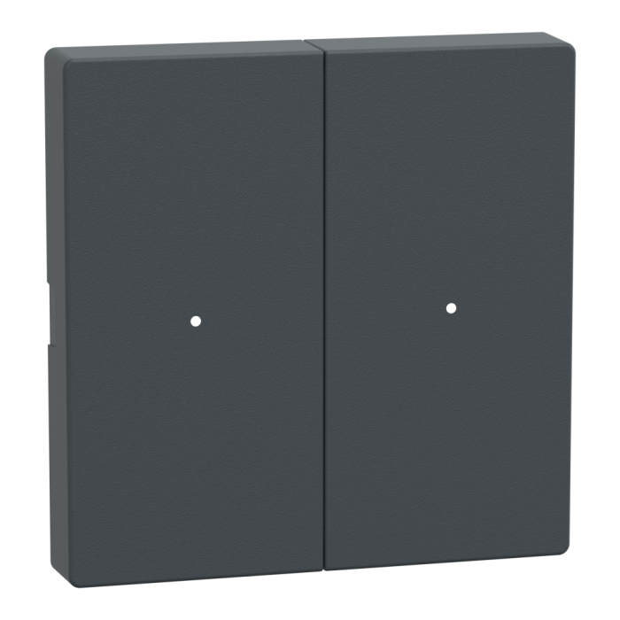 Клавіша, 2-клавішна, чорна, Merten, Schneider Electric [MTN625214]