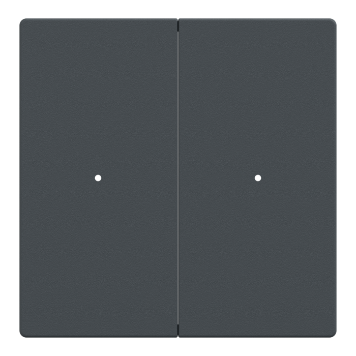 Клавіша, Merten, Клавіші для 2-кнопкового вимикача, антрацит, чорний (ral 7024), Schneider Electric, [MTN625214]