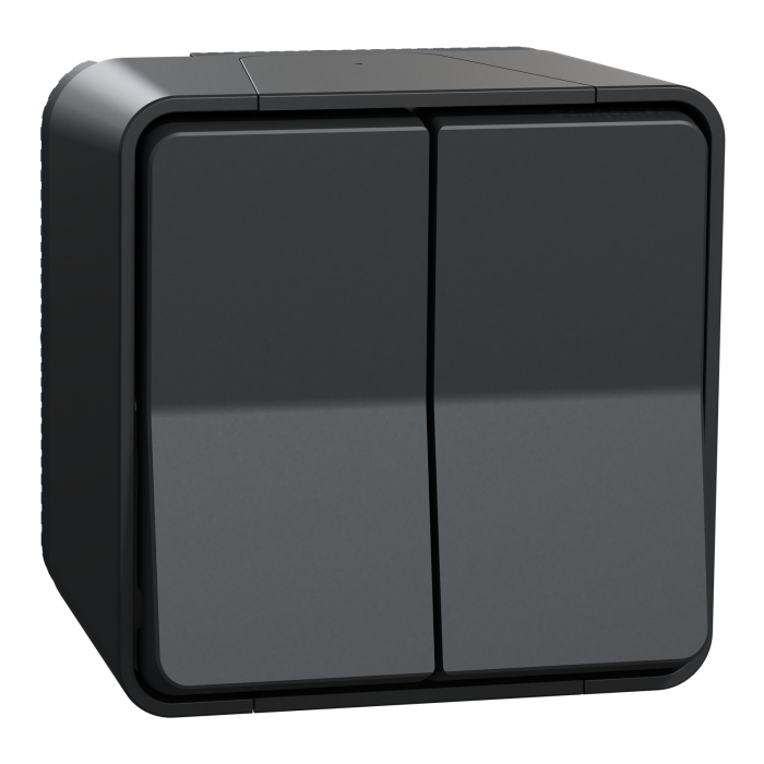 Вимикач, сірий, 2-клавішний, 10 А, Mureva Styl - Schneider Electric [MUR35022]