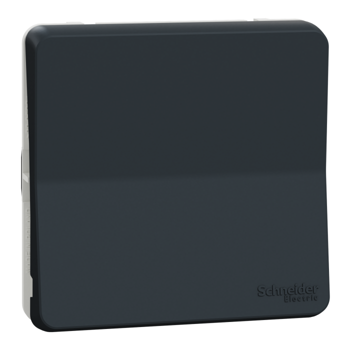 Вимикач, сірий, 1-клавішний, 10 А, Mureva Styl - Schneider Electric [MUR37021]