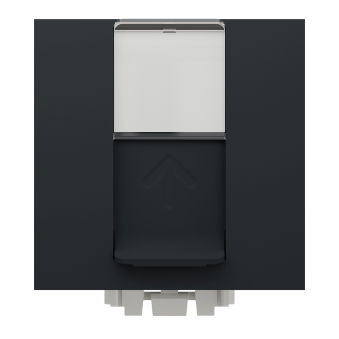 Мультимедійна розетка, 2 модулі, чорна, Unica New, Schneider Electric [NU341754]