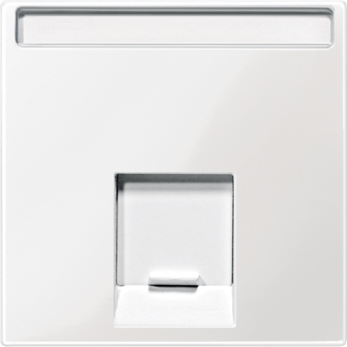 Накладка, біла, Merten, Schneider Electric [MTN469819]