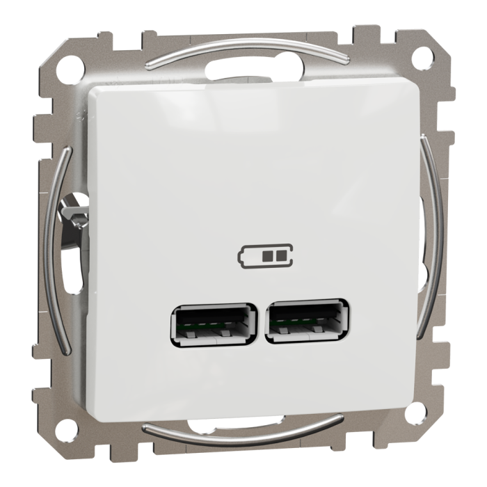 USB розетка, Sedna Design&Elements, тип A+A 2, білий (ral 9003), Schneider Electric, [SDD111401]