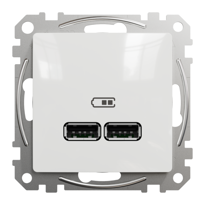 USB розетка, Sedna Design&Elements, тип A+A 2, білий (ral 9003), Schneider Electric, [SDD111401]