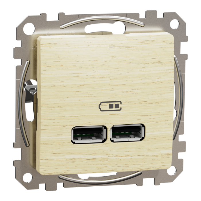 USB розетка, Sedna Design&Elements, A+a 2, колір березового дерева, Schneider Electric, [SDD180401]