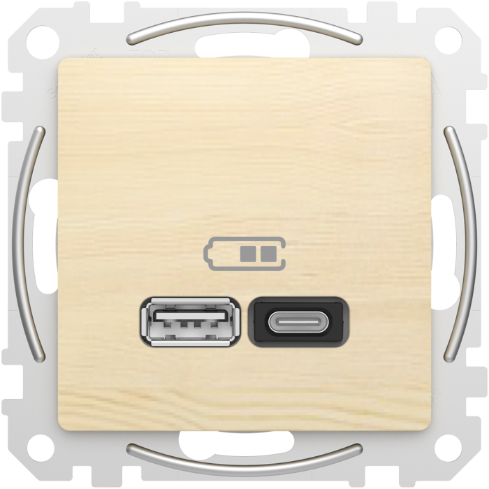 USB розетка, Sedna design&elements - Schneider Electric [SDD180404]