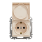 Розетка, Sedna Design&Elements, з заземлення, зі шторками, бежевий (ral 1013), Schneider Electric, [SDD212024]