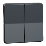 Вимикач, сірий, 2-клавішний, 10 А, Mureva Styl - Schneider Electric [MUR35019]